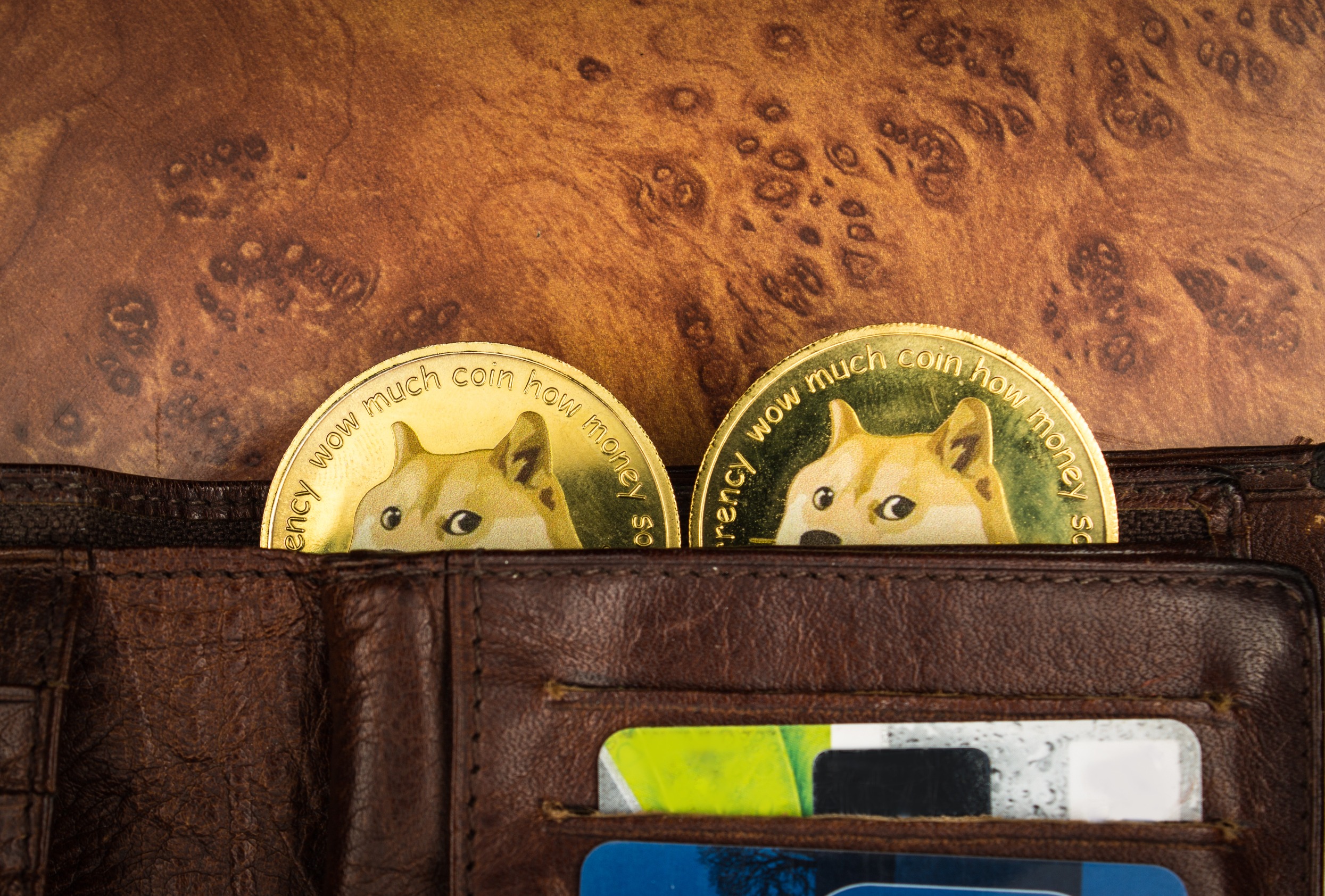 Dogecoin Price Prediction: Is it Time to Sell?